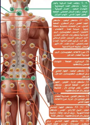 مركز مكه للحجامه سوق الخوض مقابل شيشه نفط عمان عرض جلسه كامل الجسم 10 ريال